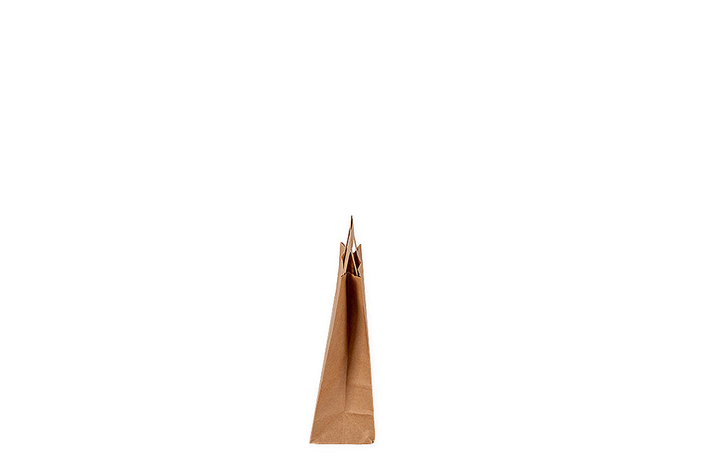 Papier Tragetasche klein, neutral, braun, reißfest bis zu 4Kg, 180 x 80 x 220 mm