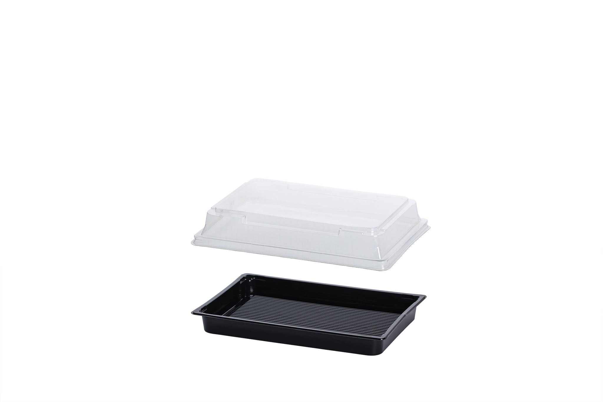 Sushi Box L, Sushi Trays inkl. Deckel, 185 x 127 x 20 mm