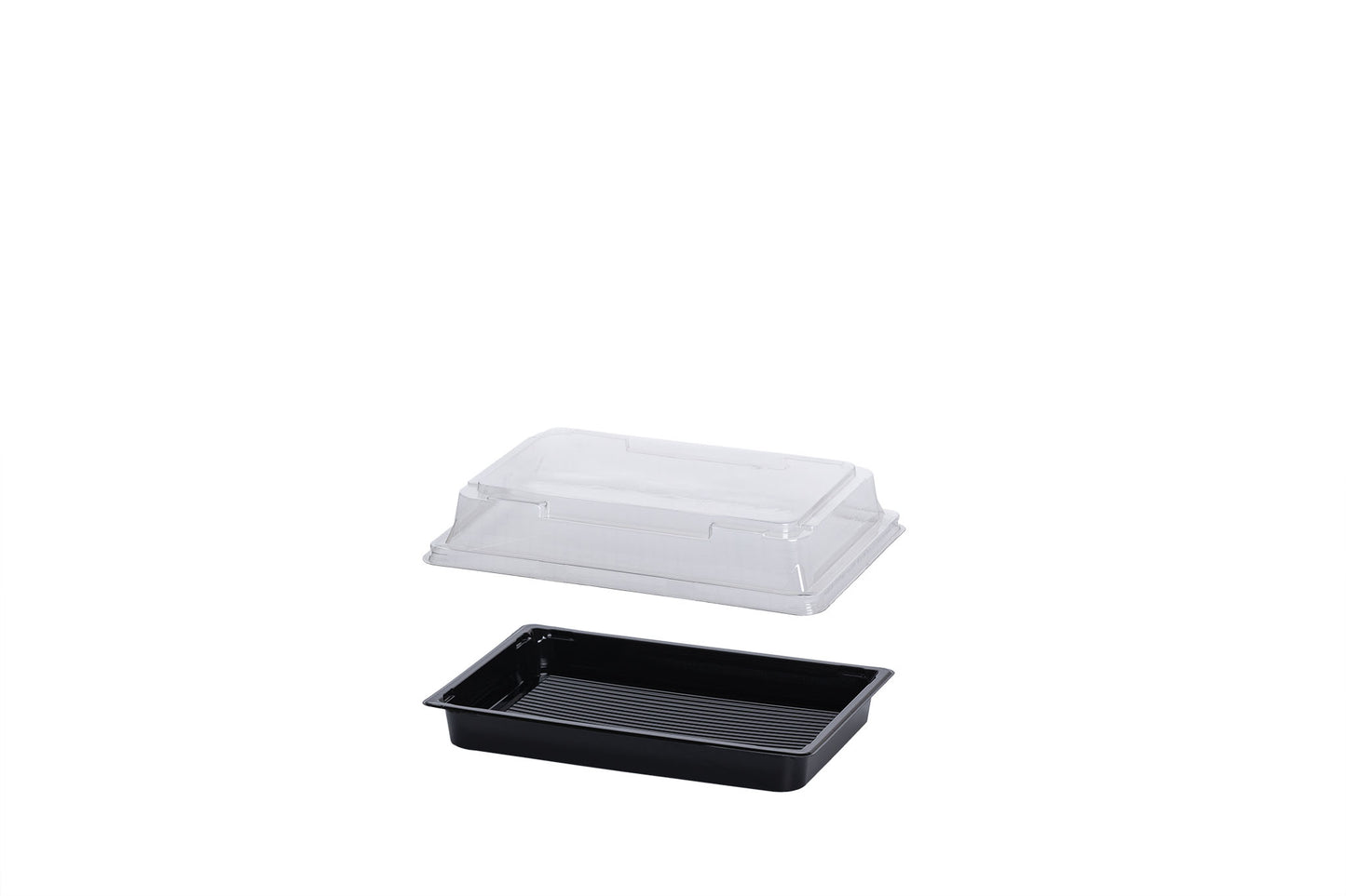 Sushi Box M, Sushi Trays incl. Deckel, 166 x 115 x 20 mm