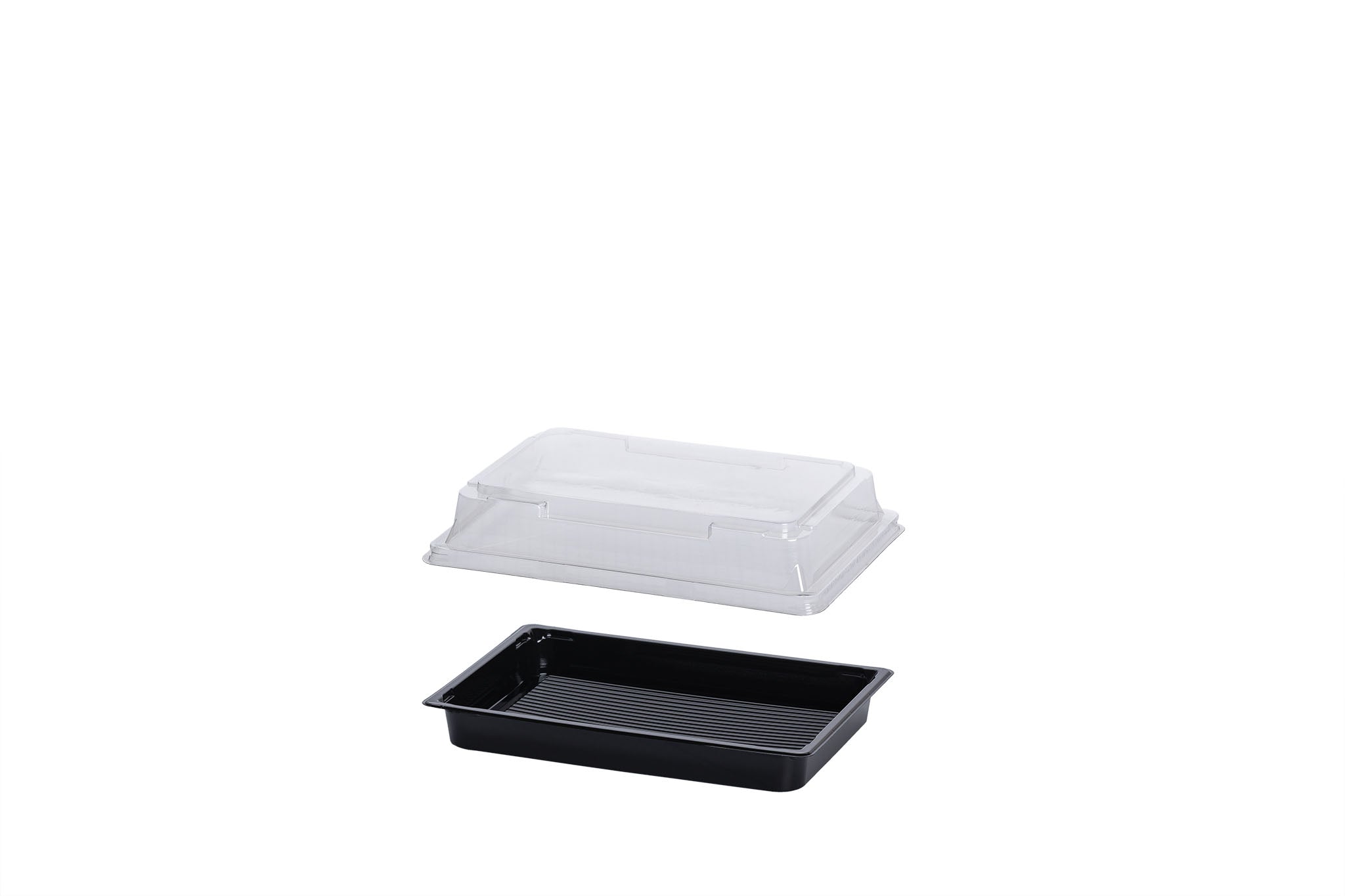 Sushi Box M, Sushi Trays inkl. Deckel, 163 x 113 x 17 mm