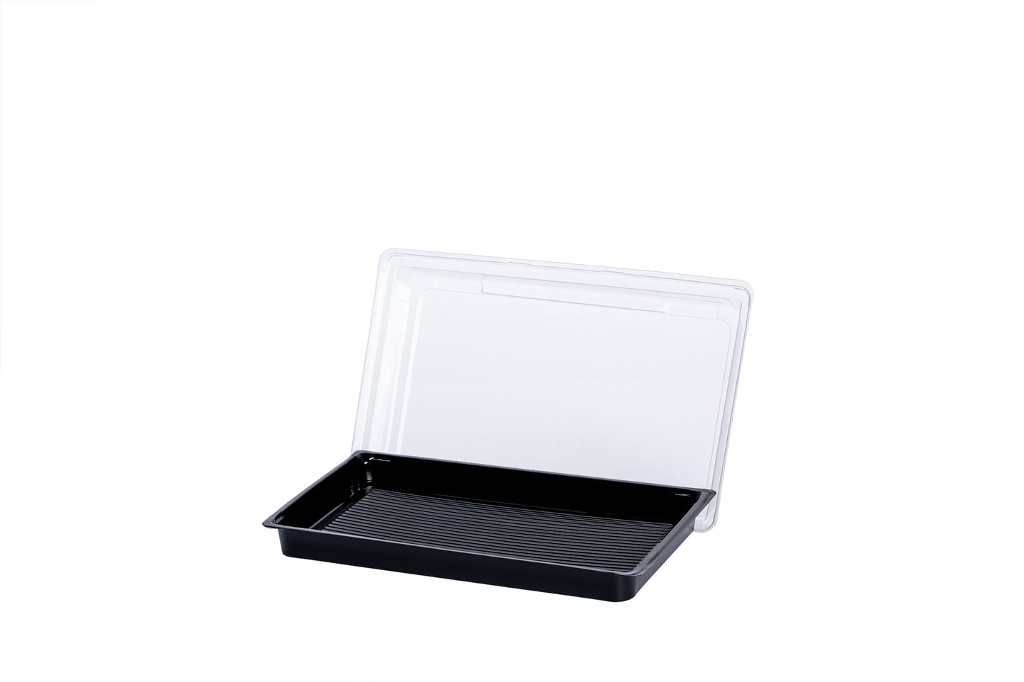 Sushi Box XL, Sushi Trays incl. Deckel, 215 x 135 x 20 mm