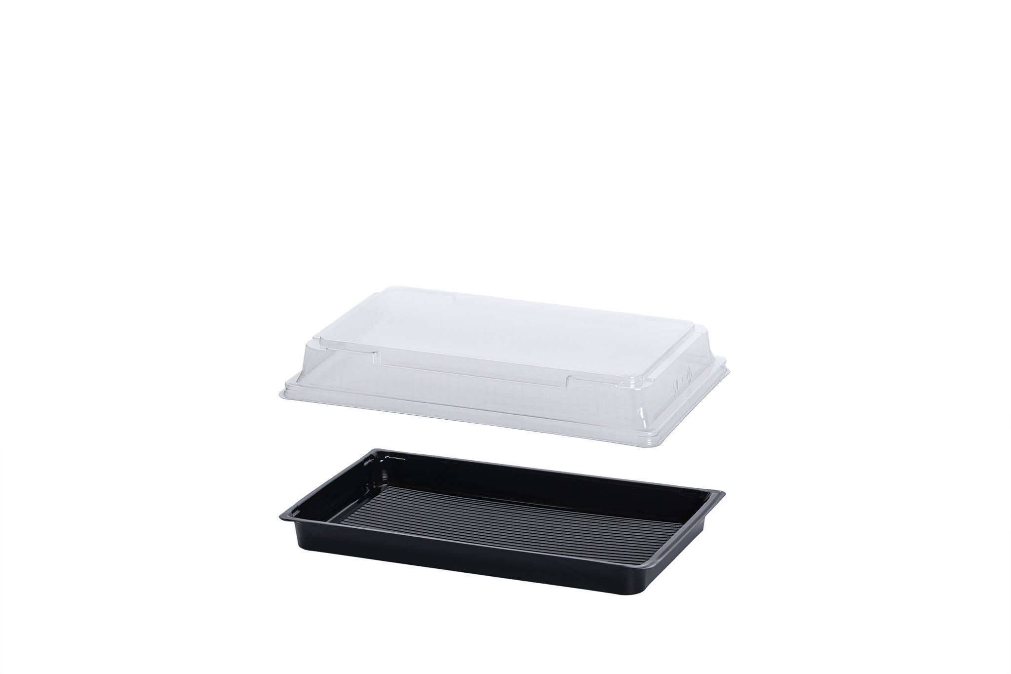 Sushi Box XL, Sushi Trays inkl. Deckel, 215 x 130 x 18 mm