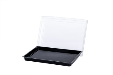 Sushi Box XXL, Sushi Trays inkl. Deckel, 255 x 185 x 20 mm