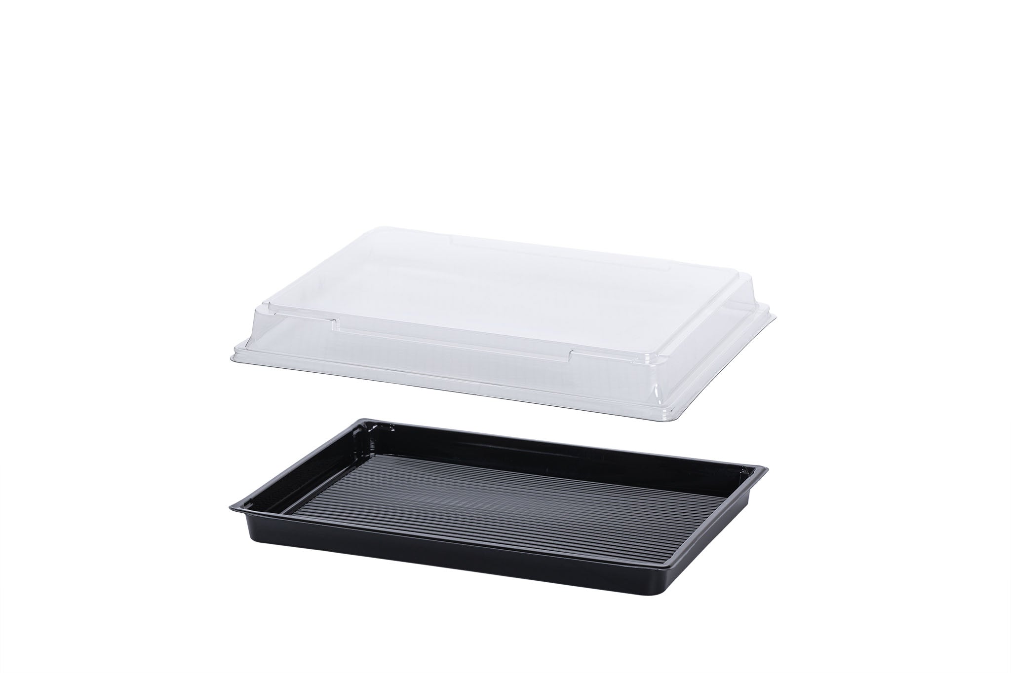 Sushi Box XXL, Sushi Trays inkl. Deckel, 255 x 185 x 20 mm